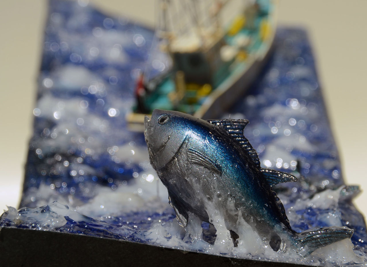 マグロジオラマ第二弾 魚影の群れ 本日 ヲタク部