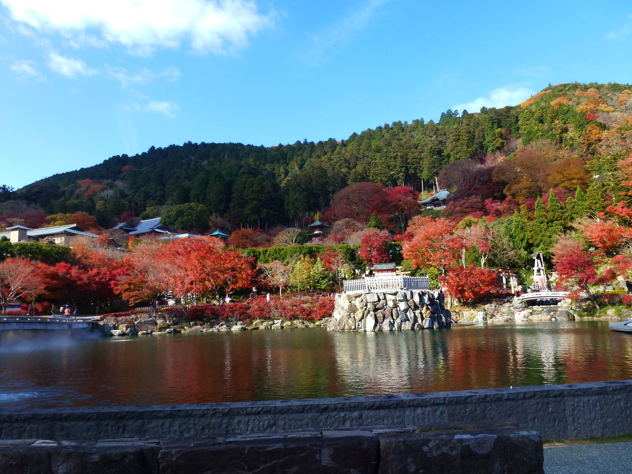 14紅葉 in 勝尾寺 第二の人生を謳歌しよう 14紅葉 in 勝尾寺 第二の人生を謳歌しよう