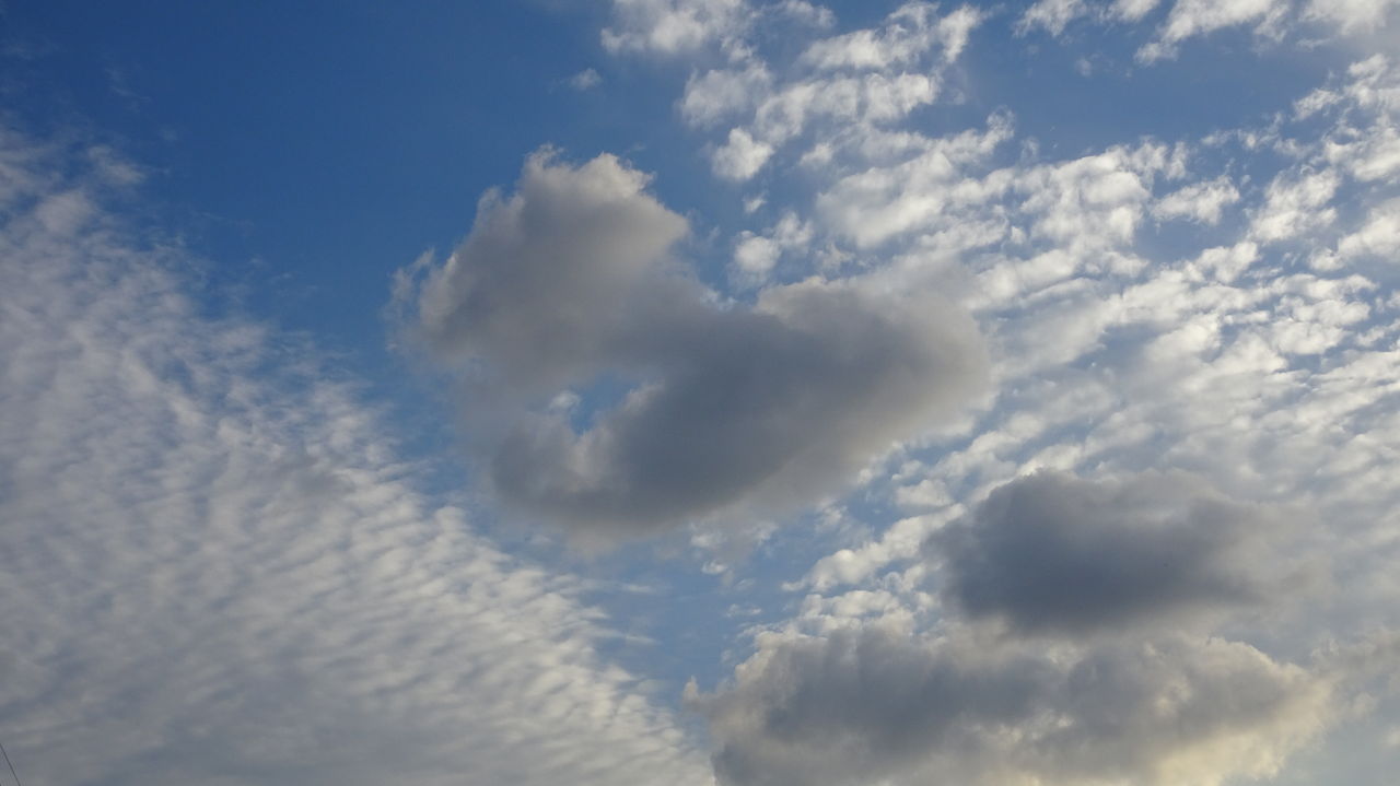 秋の雲 第二の人生を謳歌しよう 秋の雲 第二の人生を謳歌しよう