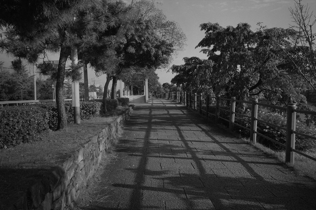 忙しい 眠い 18 6 09 京都 モノクロ写真 おしゃれ風景の撮り方 竹村稔 忙しい 眠い 18 6 09 京都 モノクロ写真 おしゃれ風景の撮り方 竹村稔