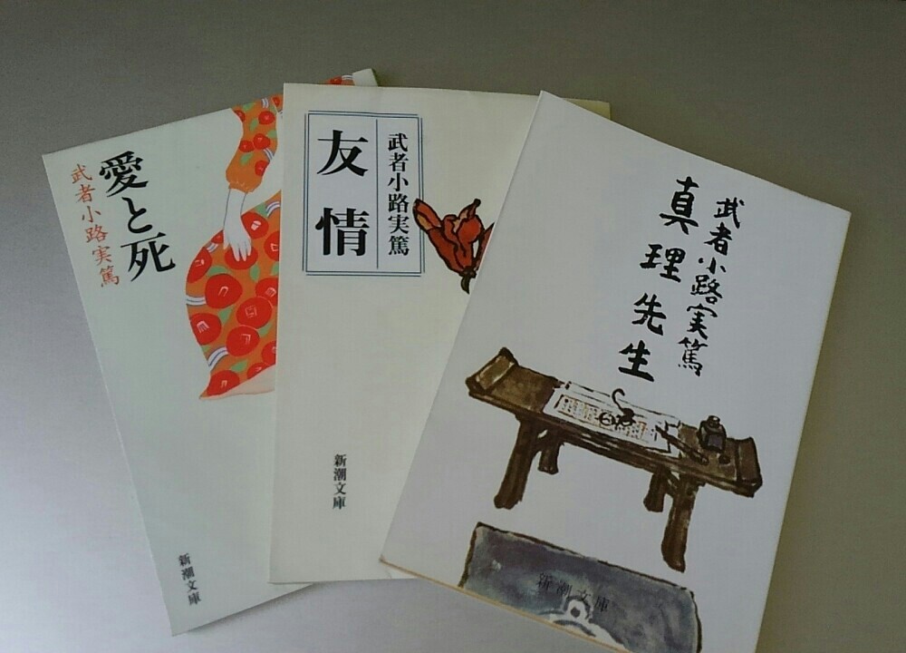 武者小路実篤先生を書き写した夏 いつの日か星になるまで 武者小路実篤先生を書き写した夏 いつの日か星になるまで
