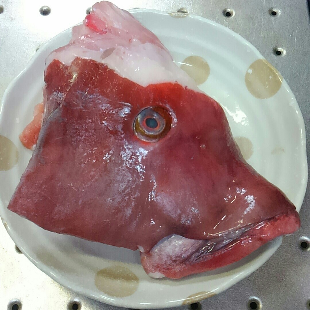 コブダイを食す いつの日か星になるまで コブダイを食す いつの日か星になるまで