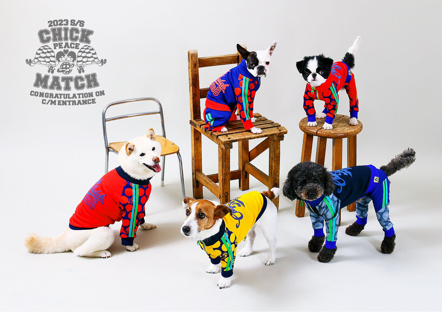 犬の絵「深夜、とあるバーで」原画