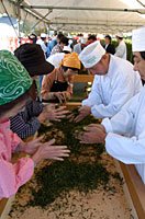 �����㡡�������