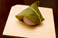 2011-03-03_13-30-10_001