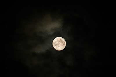 20260925-_MG_6729