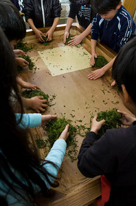 2011-02-25_10-36-59_002