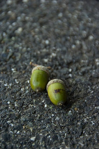 �ɥ󥰥ꡡ�ɤ󤰤�