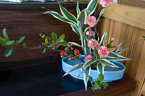 ��Ź��������