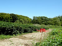 2011-09-23_11-36-37_001