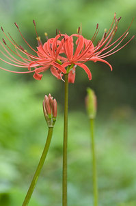 ��߲֡��ҥ���Х�