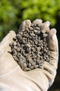 2011-08-29_14-29-30_001