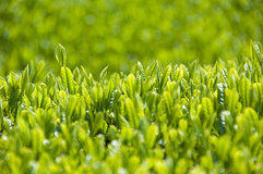 ���㡡����