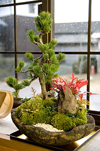 2011-01-25_13-04-11_001