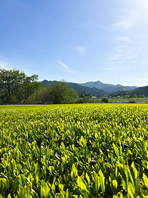 20260421-IMG_9218