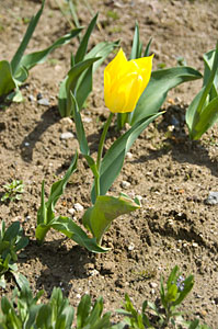 ���塼��å�