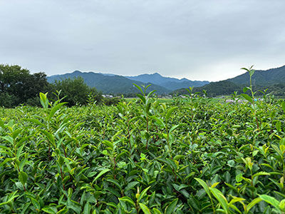 20260906-IMG_0254