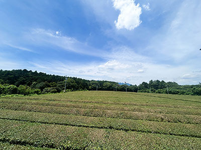 20260715-IMG_9606