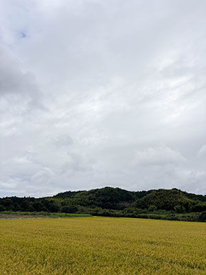 20260815-IMG_7789