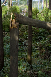 ����18����ﳲ���ޤ줿��