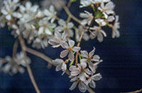 20140401-DSC_9541
