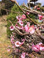 20150302-IMG_1211