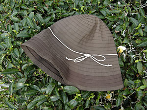 2010-11-02_08-15-49_001