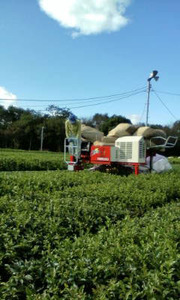 ͭ�����ݡ����㡡����