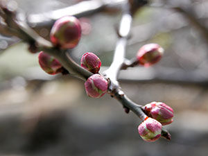 2005-01-31_12-59-01_013