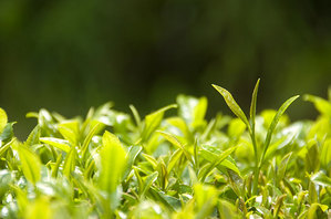 ���㡡���ϡ�����