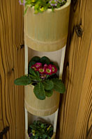 ���������å�