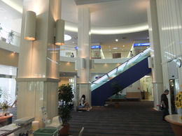 DSCF3268