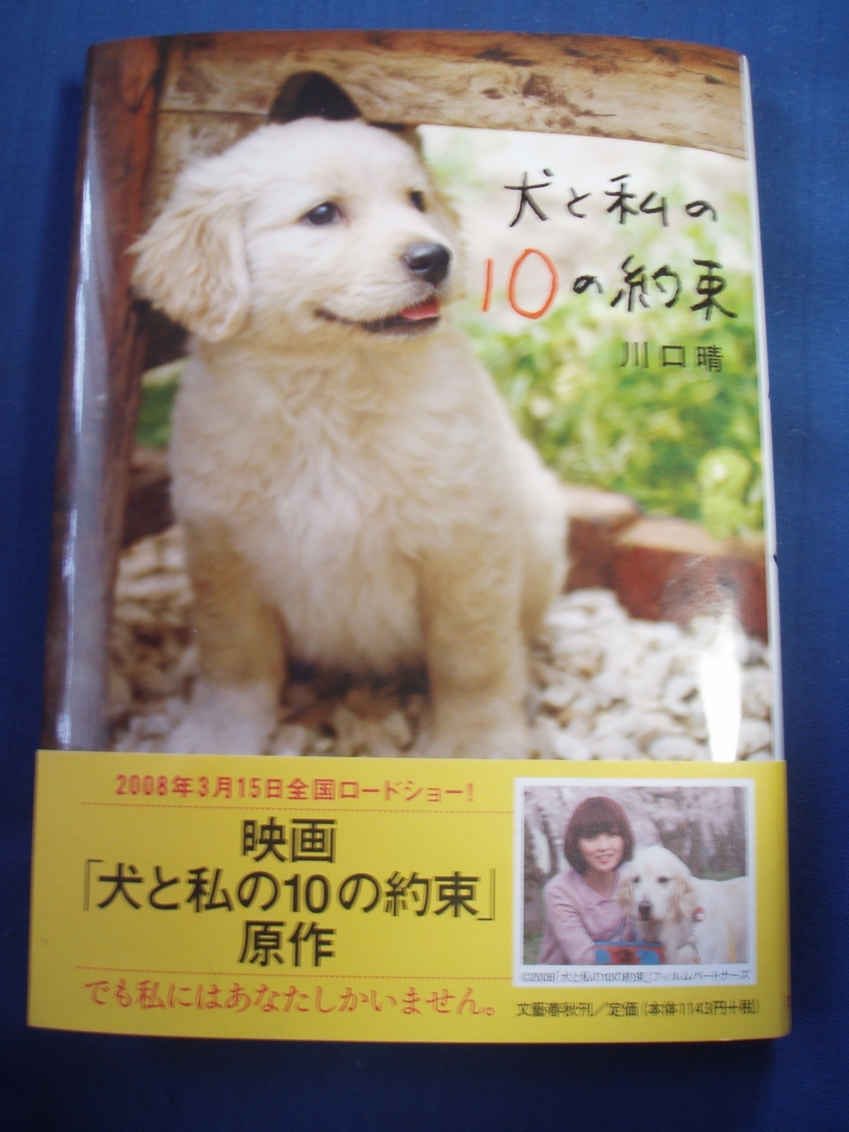 犬と私の10の約束 たける日記