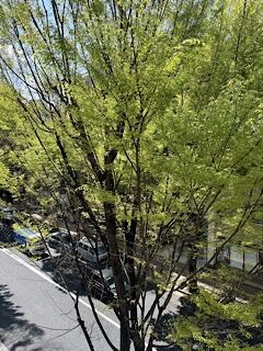 今日の定点観測