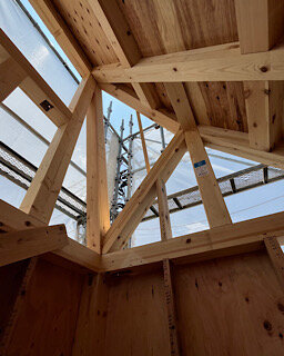 IMG_2025-07-08-165424