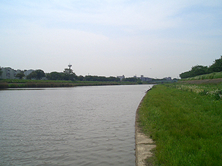 754ab282.jpg