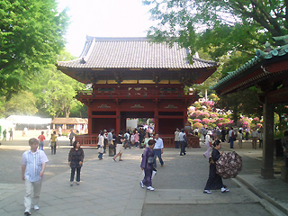860b7f0e.jpg
