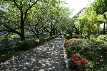 8e9577b5.jpg