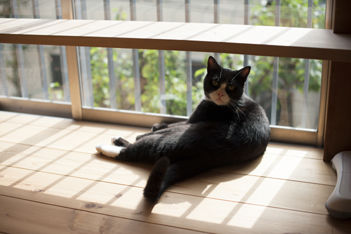 家を愉しむ人々