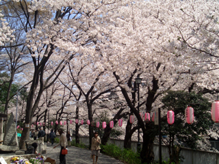a8177b68.jpg
