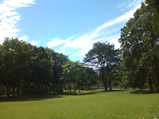 bd97336e.jpg