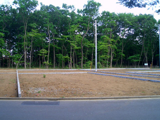 敷地見学