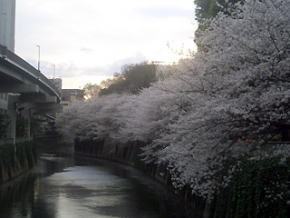 e0280af6.jpg