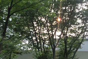 asagaya1108121729