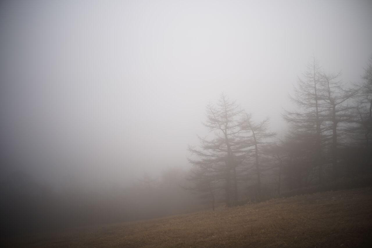 DSC00095