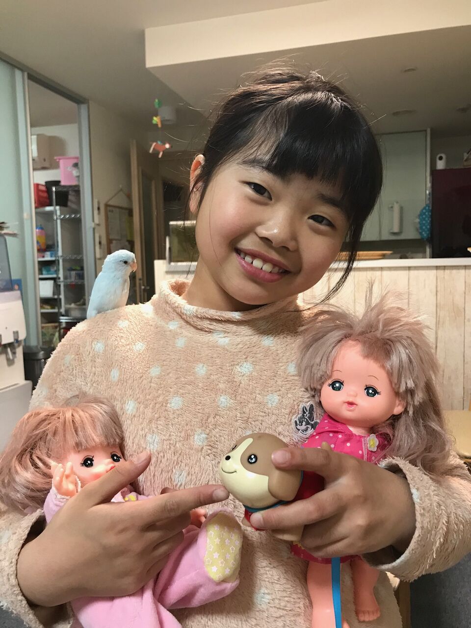 お人形遊び まつた家