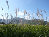 b66d8b03.JPG