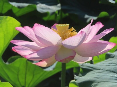 1s-IMG_0643 (2)
