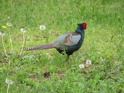 s-IMG_3799