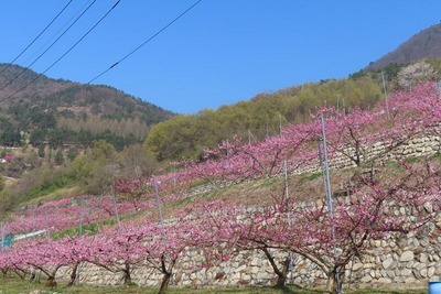 IMG_4551 (2)